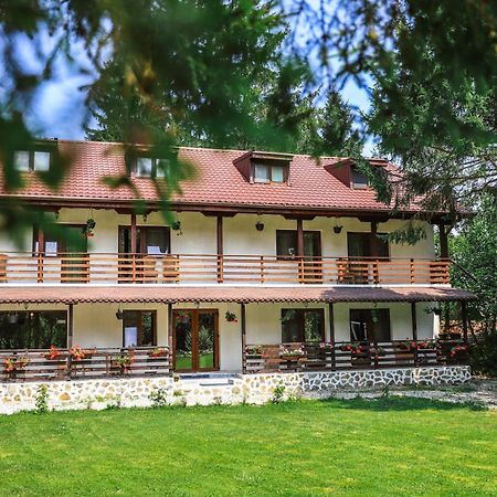 Pensiunea Vinatur Порумбаку-де-Сус Экстерьер фото