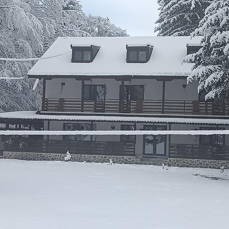 Pensiunea Vinatur Порумбаку-де-Сус Экстерьер фото