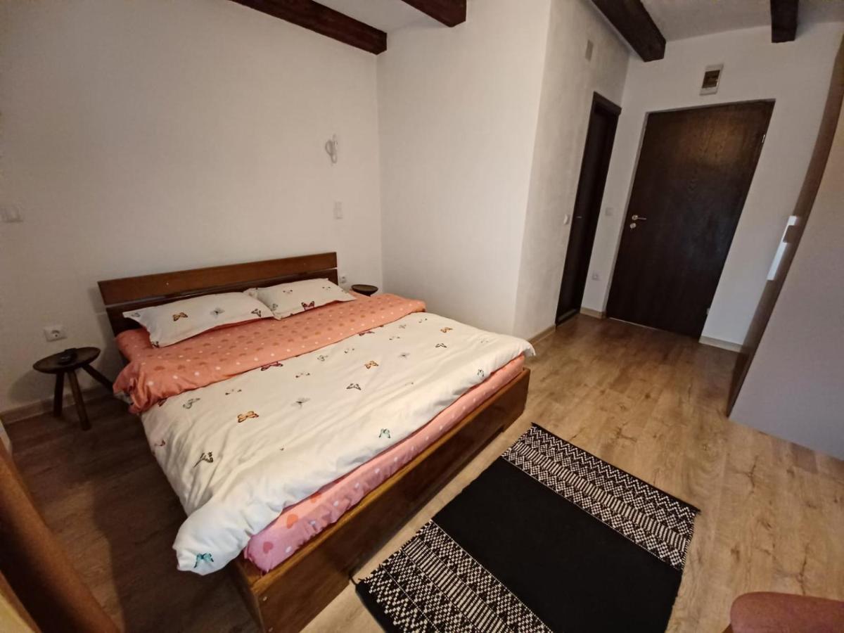 Pensiunea Vinatur Порумбаку-де-Сус Экстерьер фото