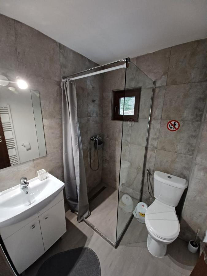 Pensiunea Vinatur Порумбаку-де-Сус Экстерьер фото