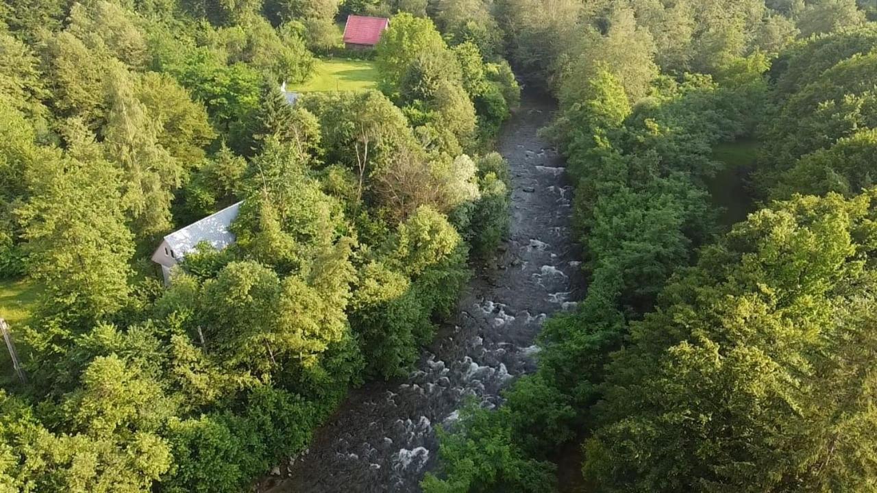 Pensiunea Vinatur Порумбаку-де-Сус Экстерьер фото