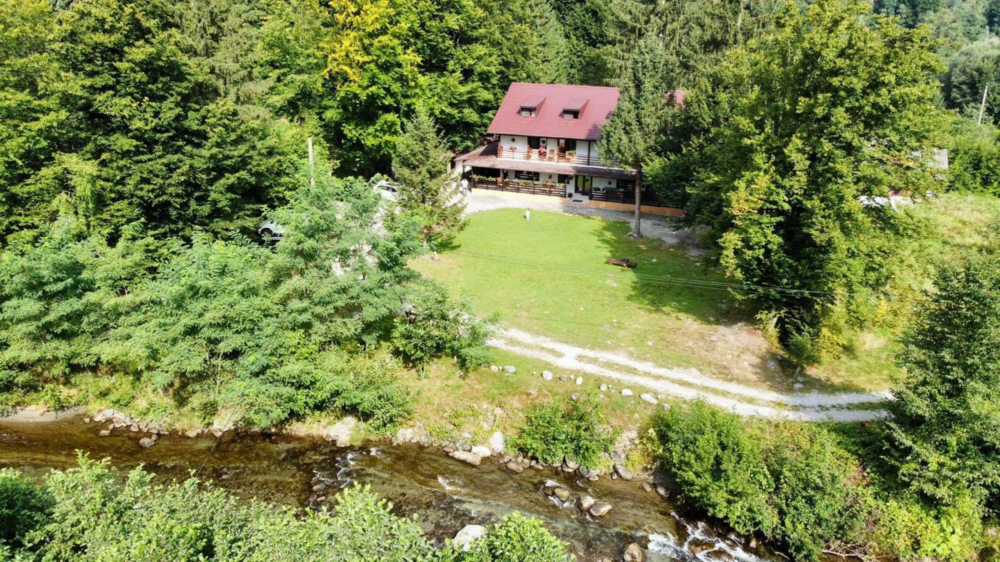 Pensiunea Vinatur Порумбаку-де-Сус Экстерьер фото