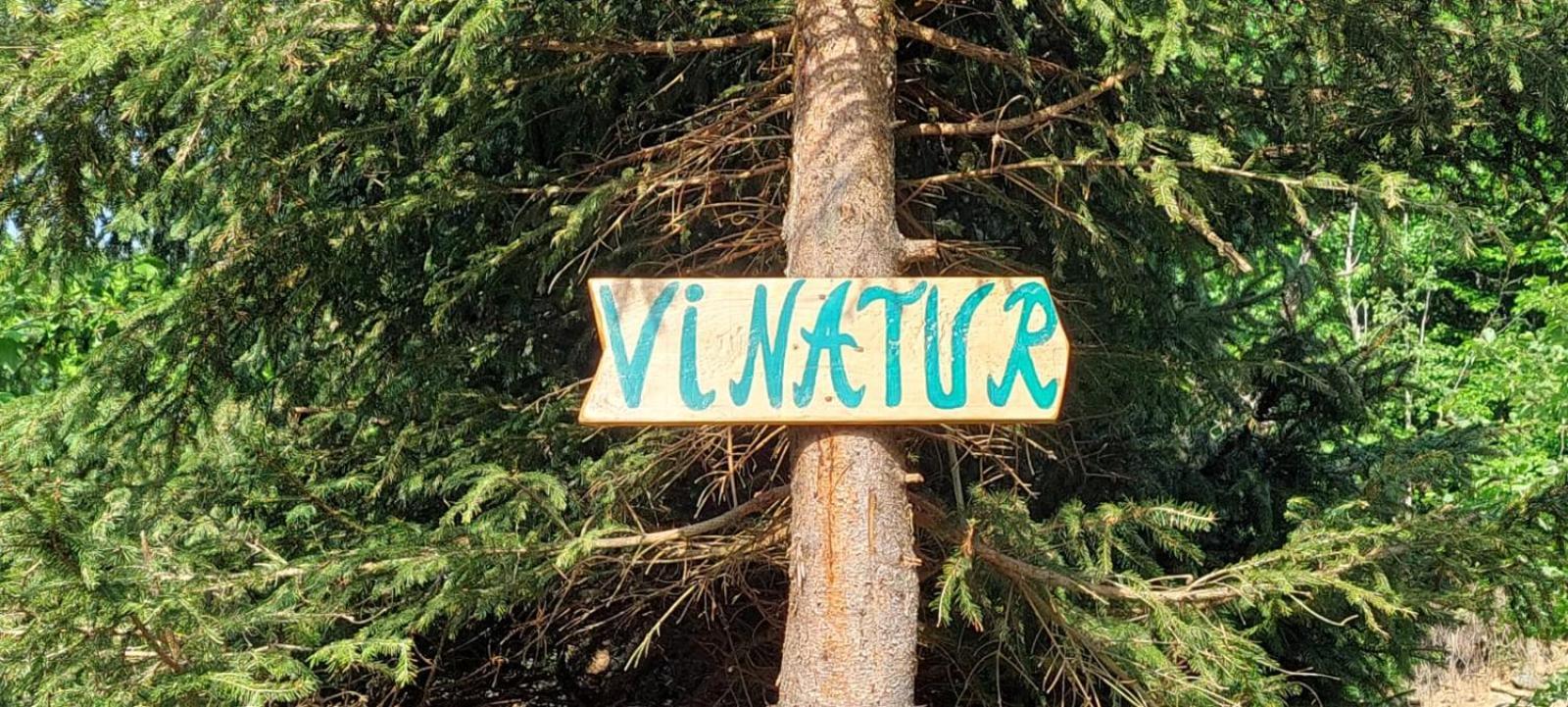 Pensiunea Vinatur Порумбаку-де-Сус Экстерьер фото