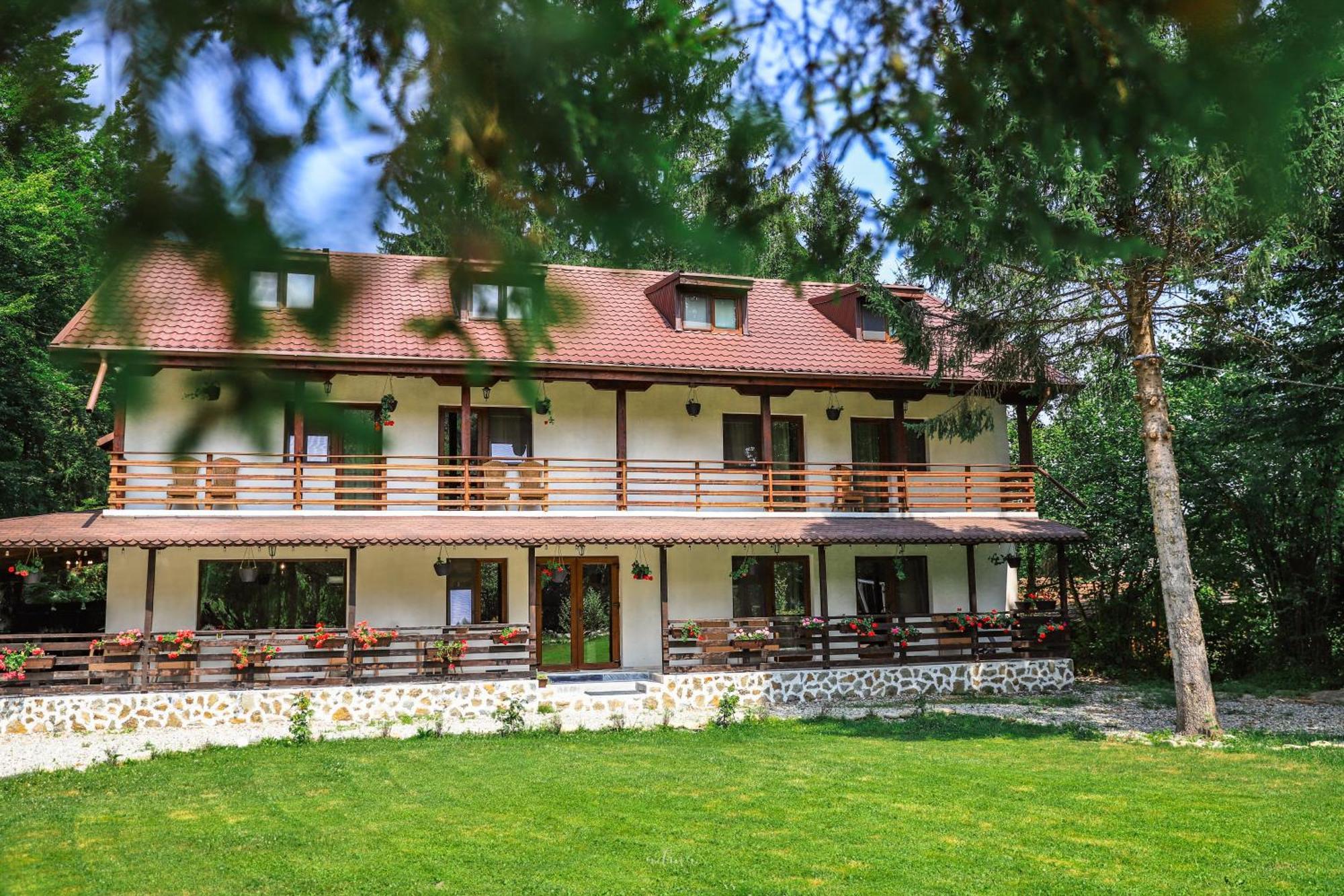 Pensiunea Vinatur Порумбаку-де-Сус Экстерьер фото