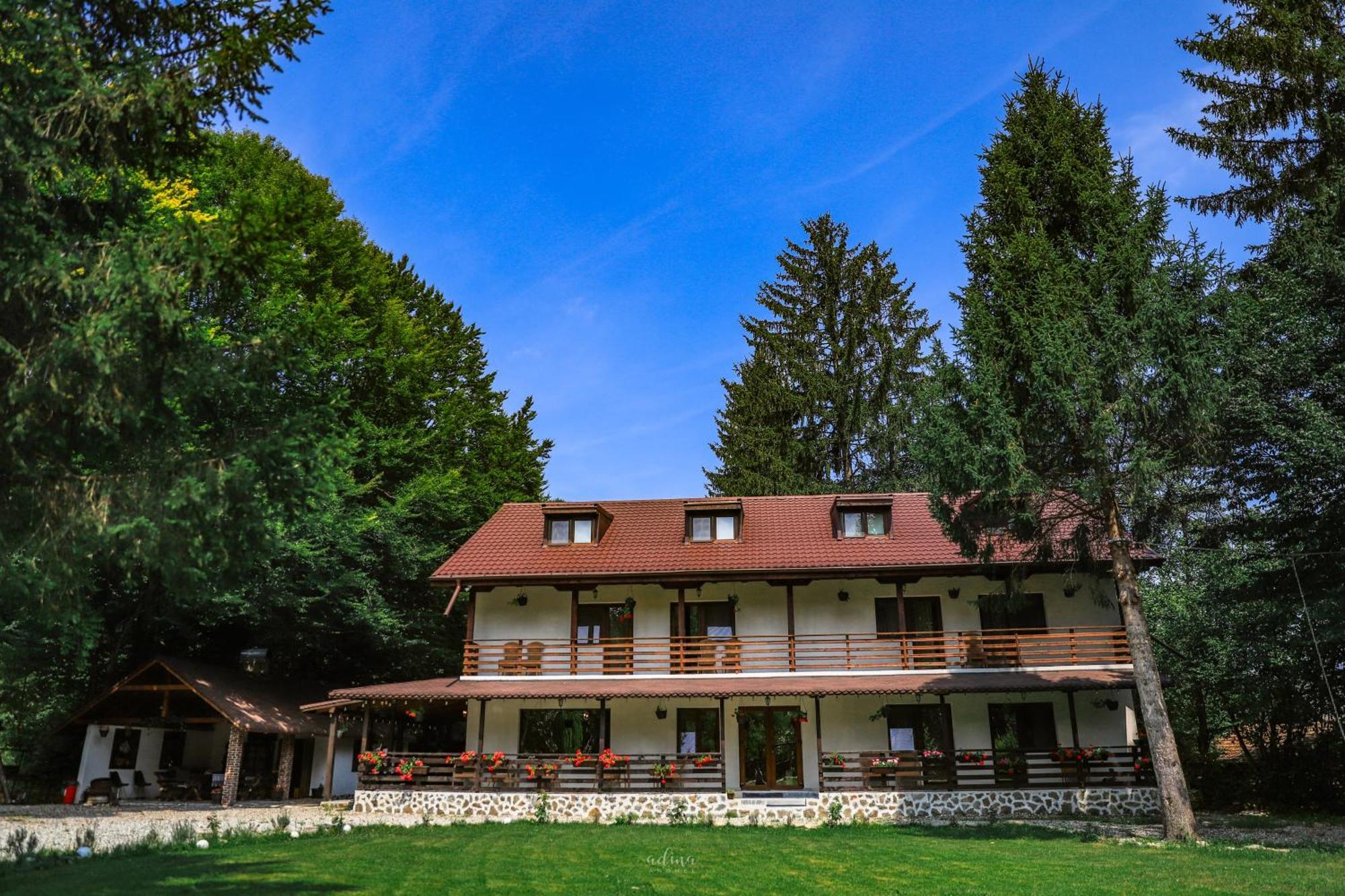Pensiunea Vinatur Порумбаку-де-Сус Экстерьер фото