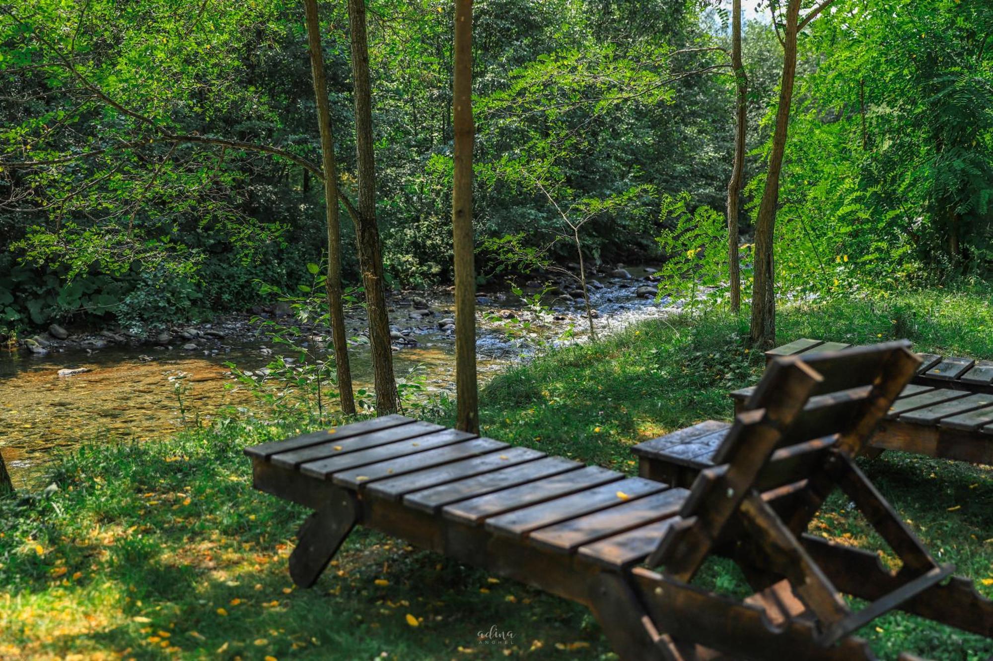 Pensiunea Vinatur Порумбаку-де-Сус Экстерьер фото