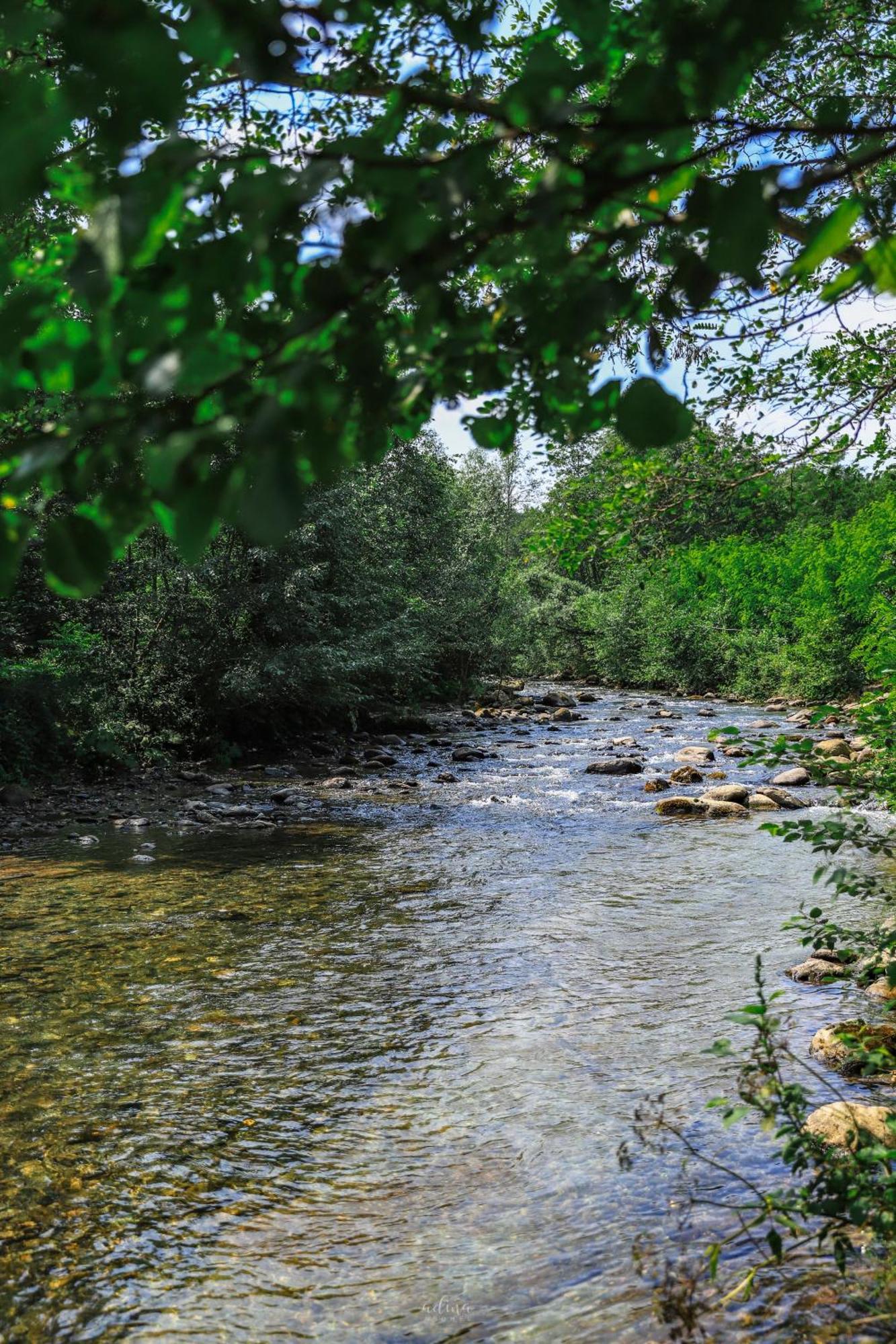 Pensiunea Vinatur Порумбаку-де-Сус Экстерьер фото