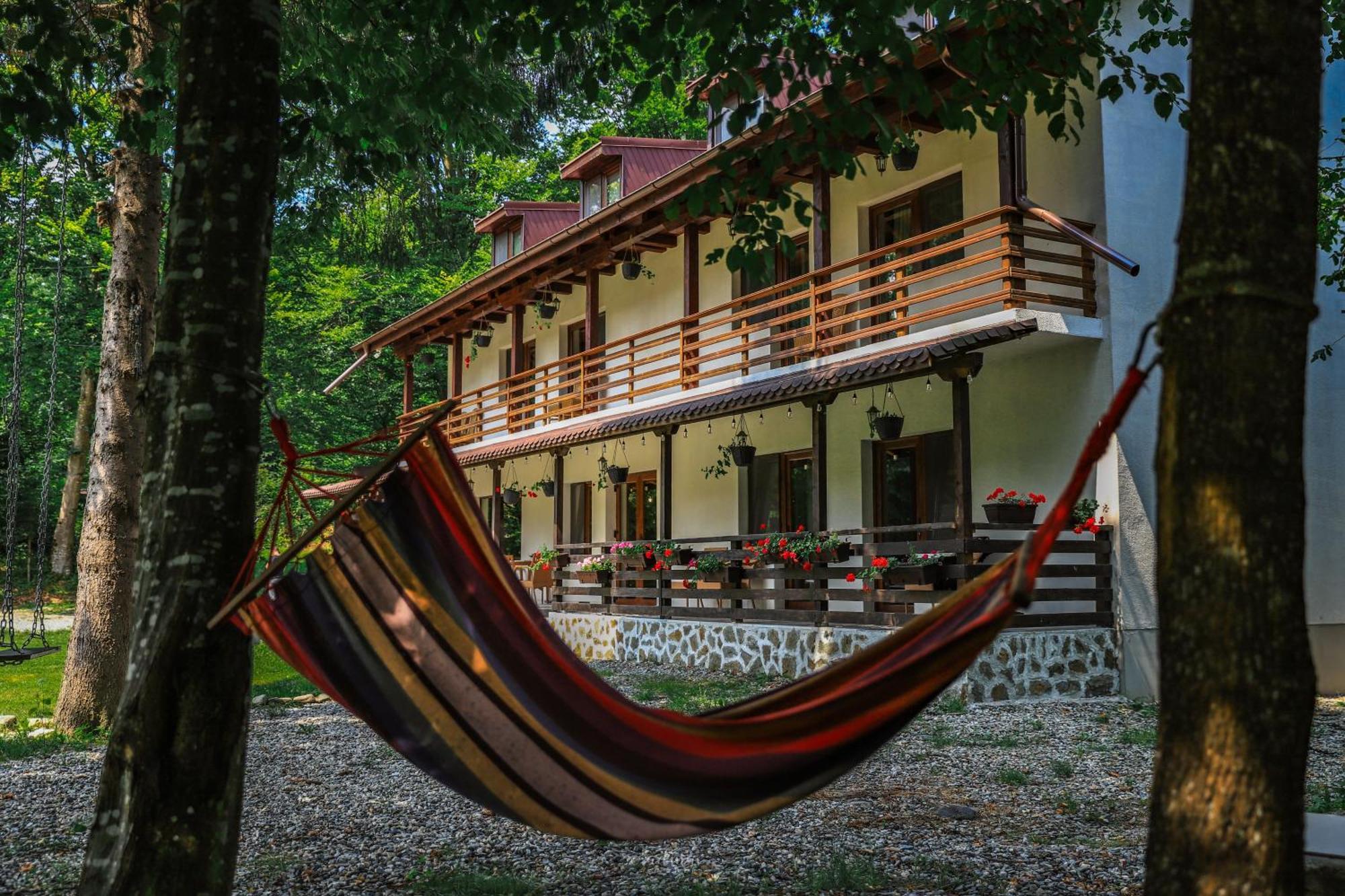 Pensiunea Vinatur Порумбаку-де-Сус Экстерьер фото