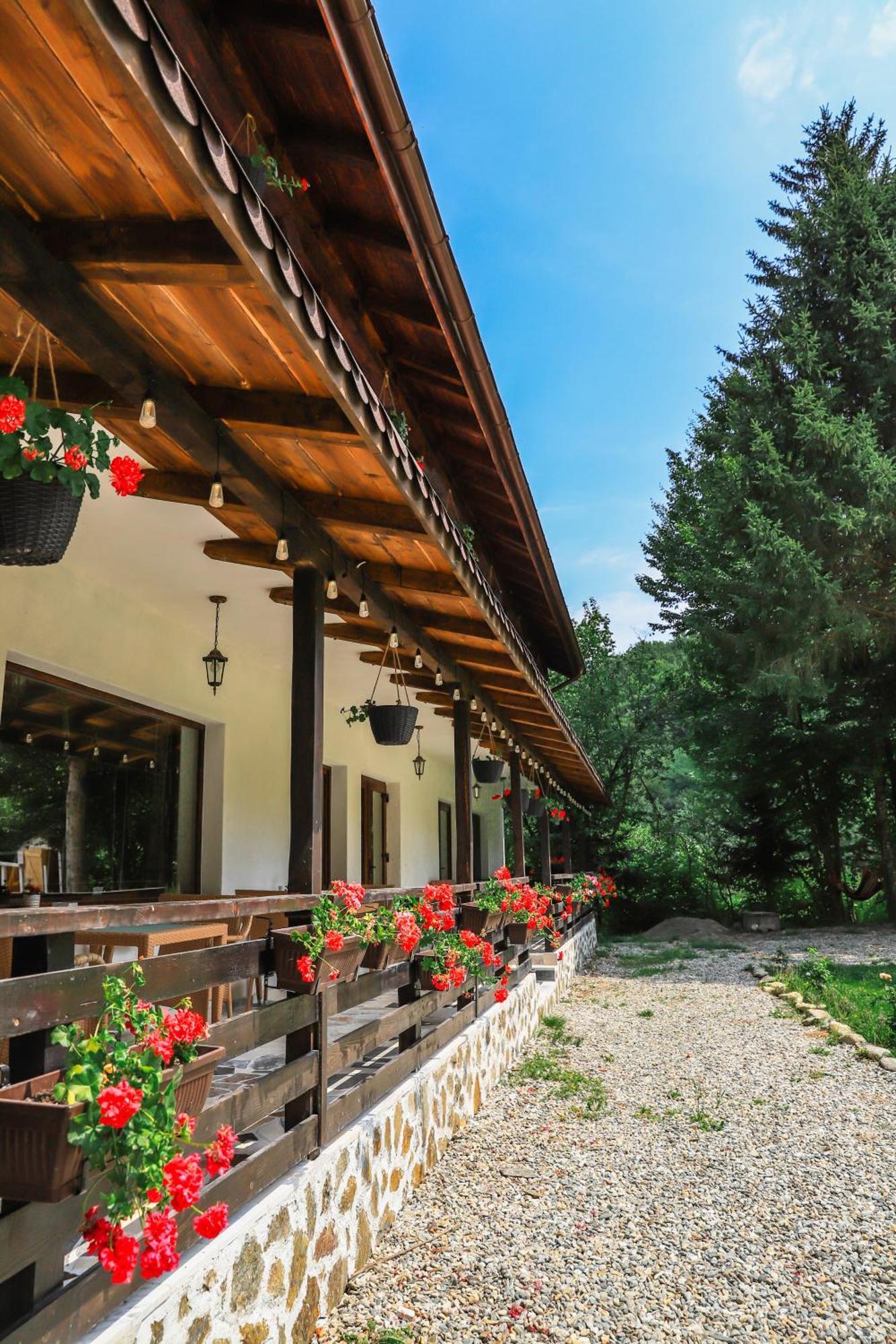 Pensiunea Vinatur Порумбаку-де-Сус Экстерьер фото